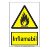 Inflamabil