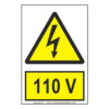 110 V