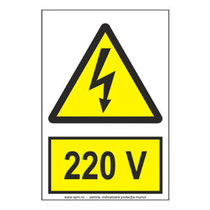 220 V