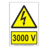 3000 V