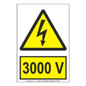 3000 V