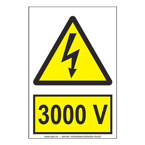 3000 V