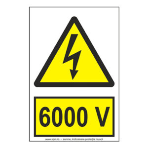 6000 V