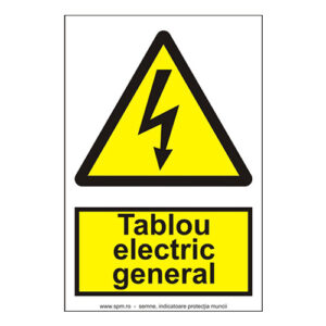 3412.jpg Tablou electric general