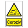 Coroziv