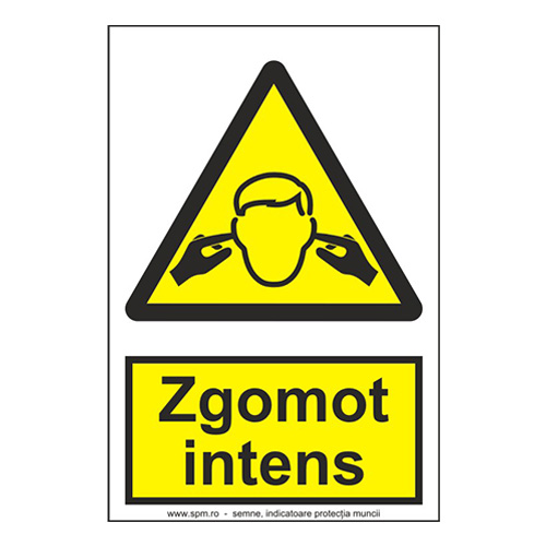 Zgomot intens 2:3